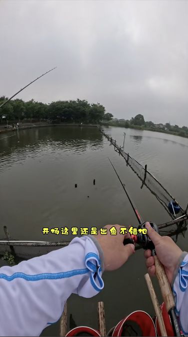 双林花城路亚基地钓场环境照片
