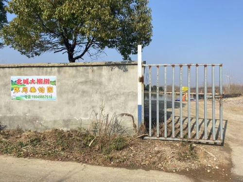 北城大柳树休闲垂钓园钓场环境照片
