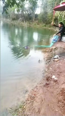 胡村水库休闲垂钓俱乐部钓场环境照片