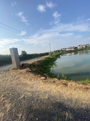 木鱼垂钓基地钓场环境照片