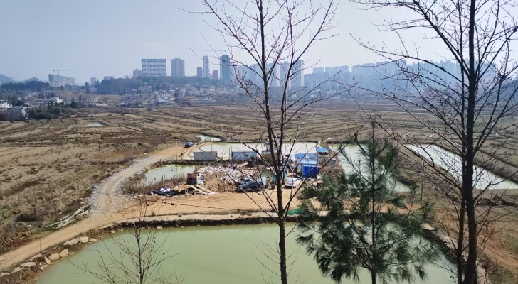 阳光钓场钓场环境照片