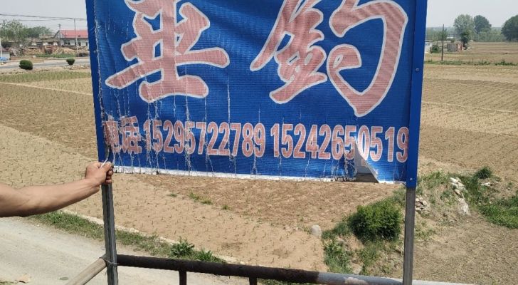 老秦垂钓园钓场环境照片