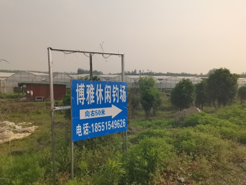 博雅休闲钓场钓场环境照片