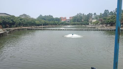 东莞市环湖休闲钓场钓场环境照片