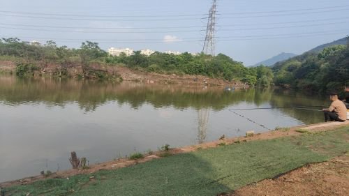 大庆钓场钓场环境照片