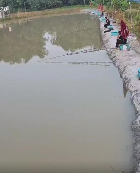 老金钓场钓场环境照片