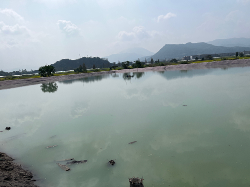 马屿翰鲢鳙钓场钓场环境照片