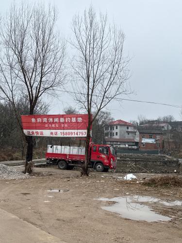 鱼府湾休闲垂钓基地钓场环境照片