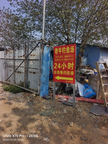 老牛钓鱼场(顺德杏坛总店)钓场环境照片
