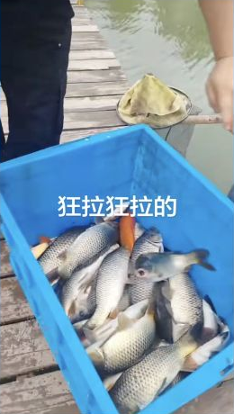 后沈休闲钓场钓场环境照片