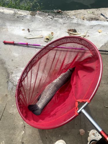 翔辰垂钓园钓场环境照片