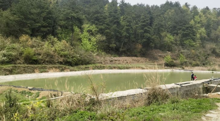 冷水村垂钓园钓场环境照片