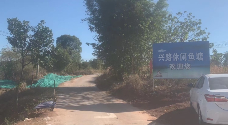兴路休闲鱼塘钓场环境照片