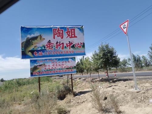 陶姐垂钓园钓场环境照片