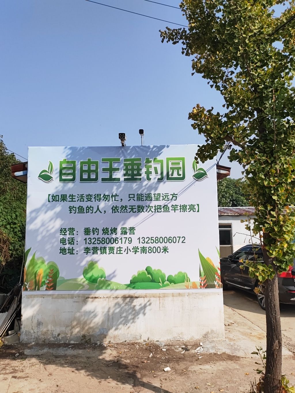 自由王垂钓园钓场环境照片