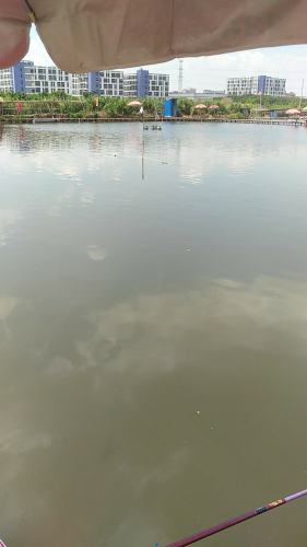 Bobo钓鱼场钓场环境照片