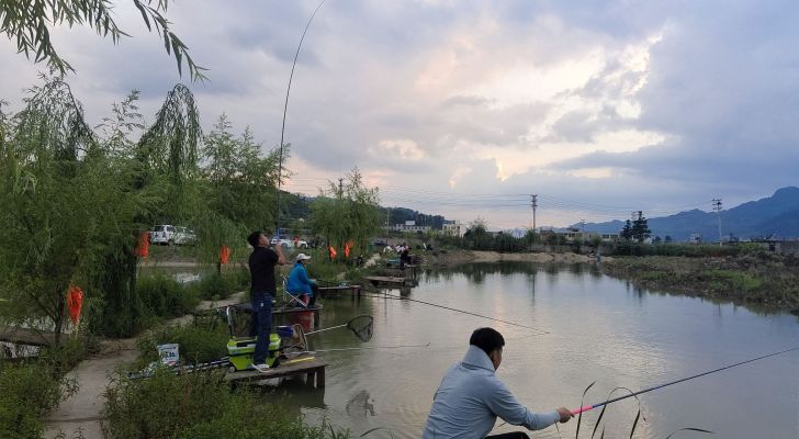 卧龙古城休闲垂钓园钓场环境照片