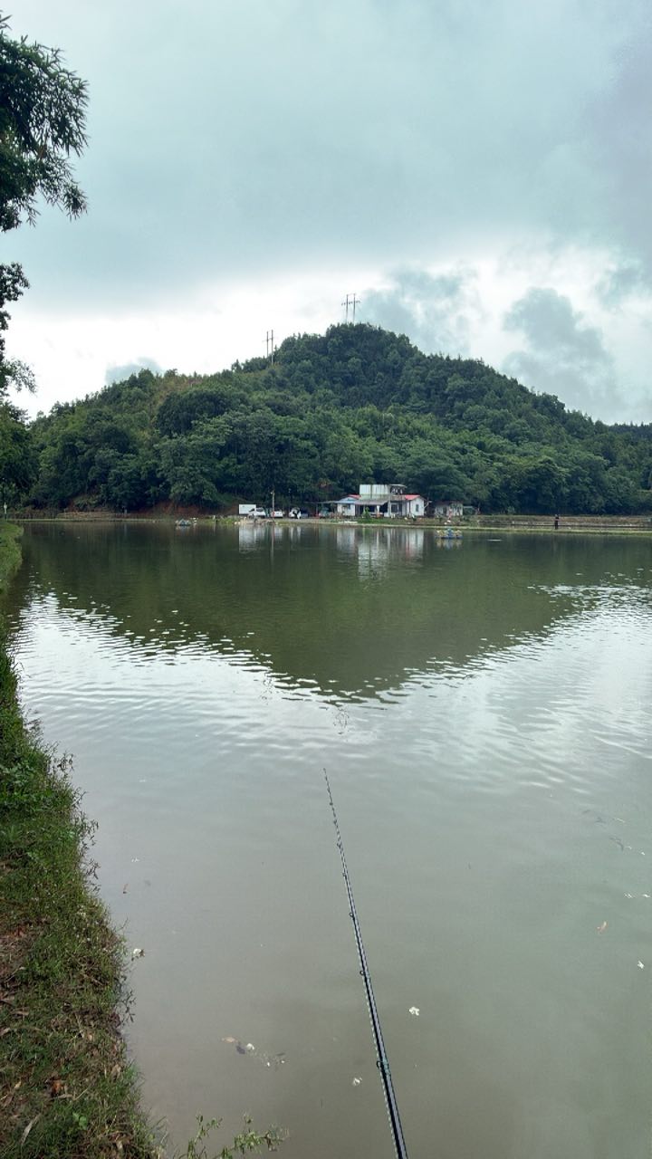 彬哥钓场钓场环境照片