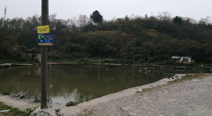 石板钓友之家休闲垂钓场钓场环境照片
