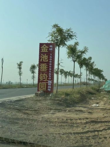 金池垂钓园钓场环境照片