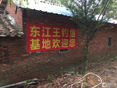 东江王钓鱼基地钓场环境照片