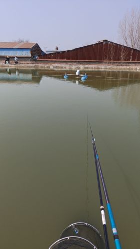 红浪漫垂钓基地钓场环境照片