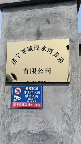 济宁邹城浅水湾国际垂钓中心钓场环境照片