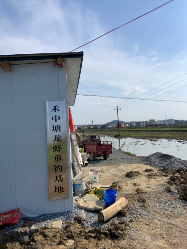 禾中塘龙虾垂钓基地钓场环境照片