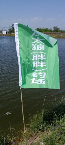 灰太狼(胖胖)钓场钓场环境照片