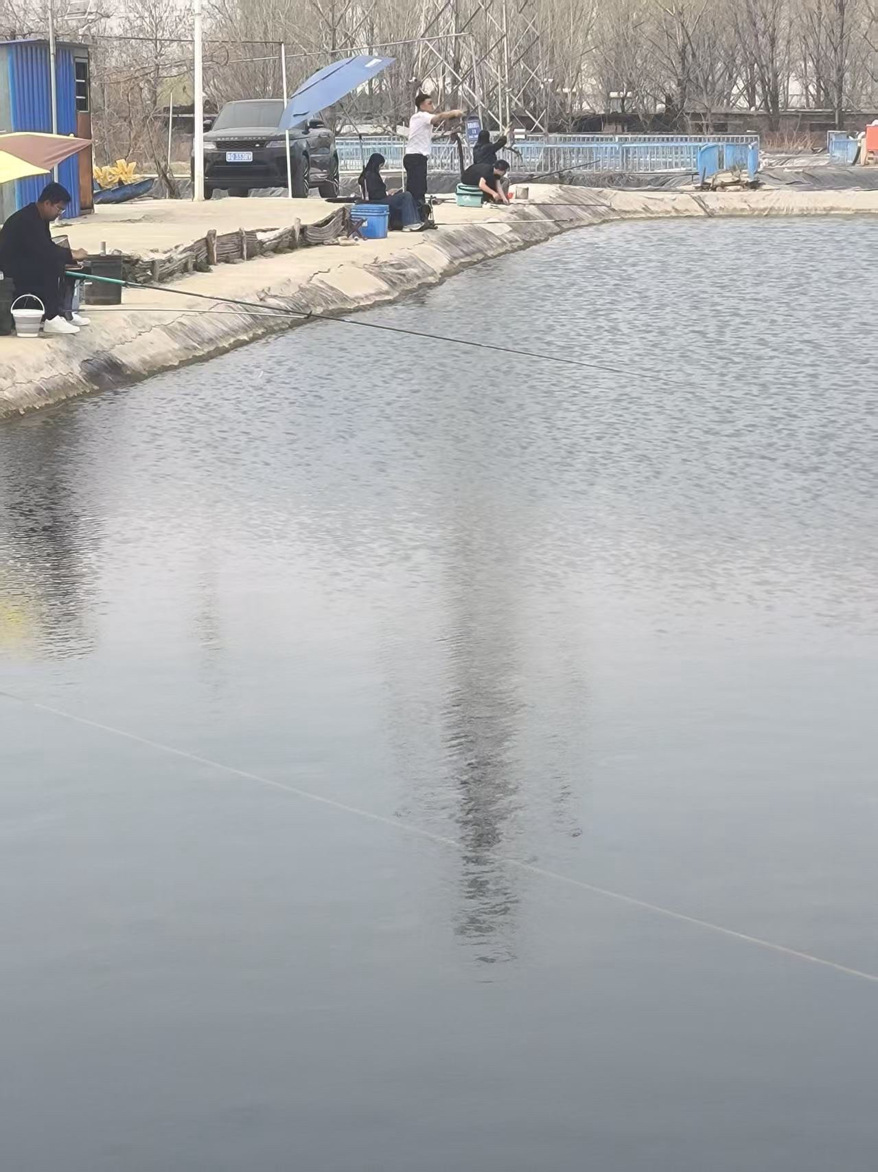 大翔垂钓园钓场环境照片