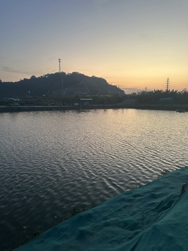 渔泷缘海钓场钓场环境照片