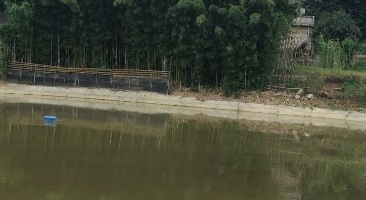 三岔镇水井湾休闲垂钓园钓场环境照片
