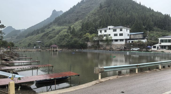 柑子冲巨物休闲塘钓场环境照片