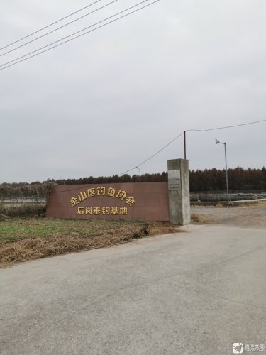 金山区钓鱼协会后岗MG垂钓基地钓场环境照片