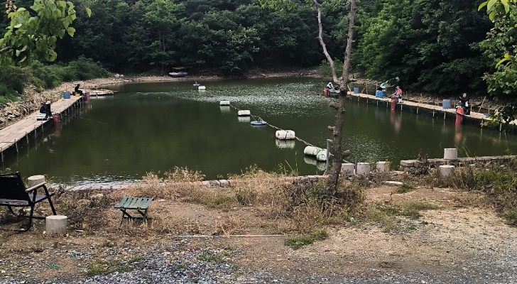 老尚垂钓园钓场环境照片