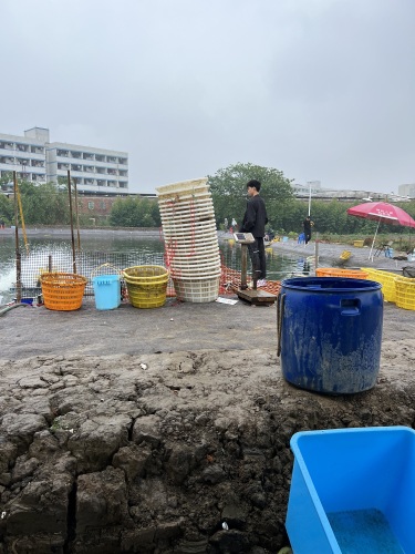 狂鲨路亚海钓基地钓场环境照片