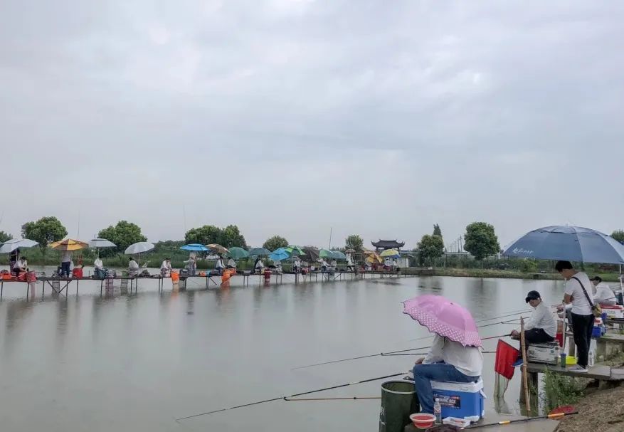 嘉善野绿港钓场环境缩略图