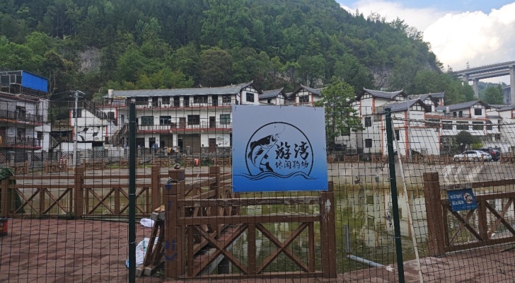 游湾休闲钓场钓场环境照片