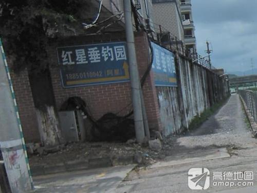 红星垂钓园钓场环境照片
