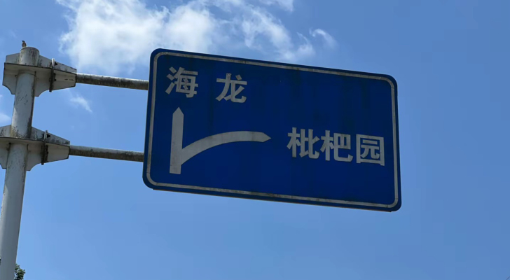 海龙枇杷园鰱鳙钓场钓场环境照片