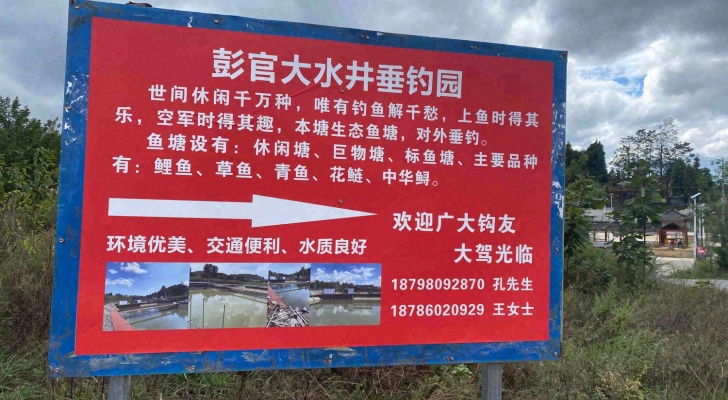 彭官大水井垂钓园钓场环境照片