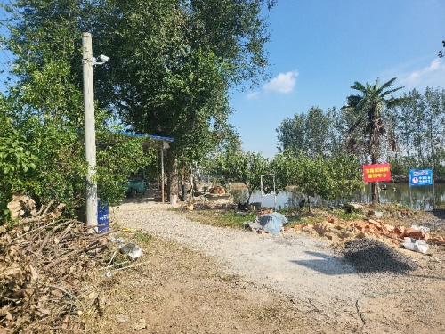 羊角坝钓场钓场环境照片