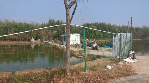 红刚钓场钓场环境照片