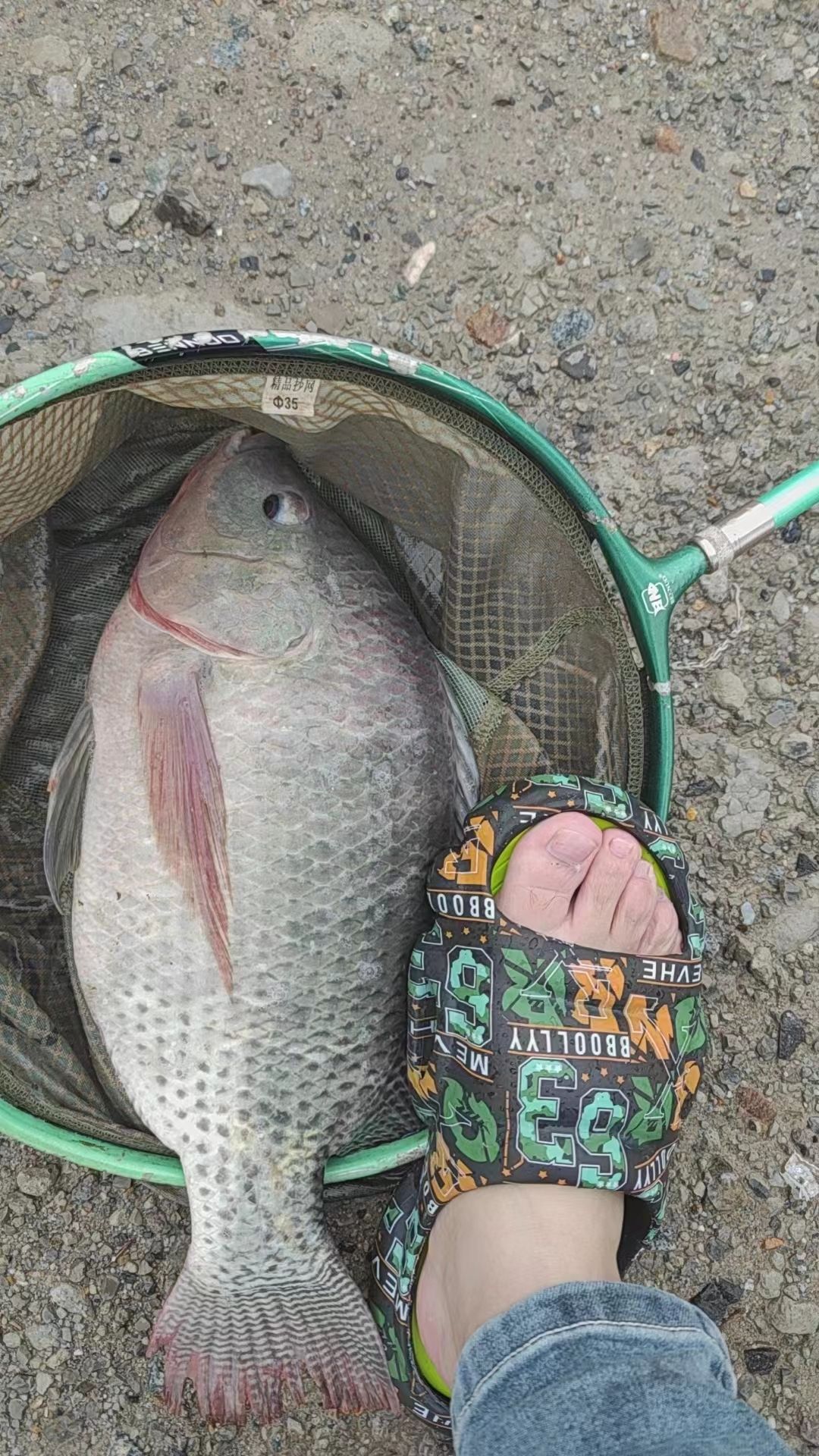 满塘红垂钓中心钓场环境照片