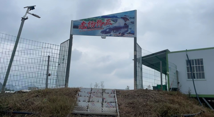 老杨路亚钓场环境照片