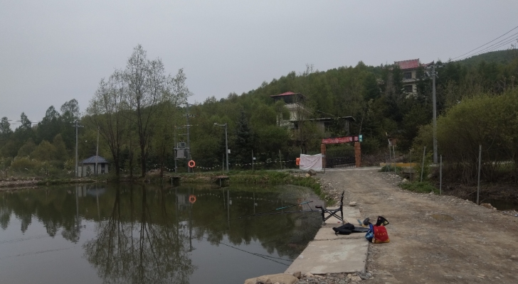 白桦林休闲垂钓园钓场环境照片