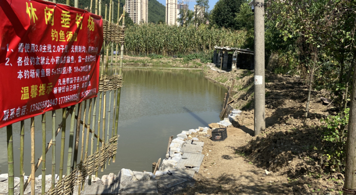 黑坑垂钓场钓场环境照片