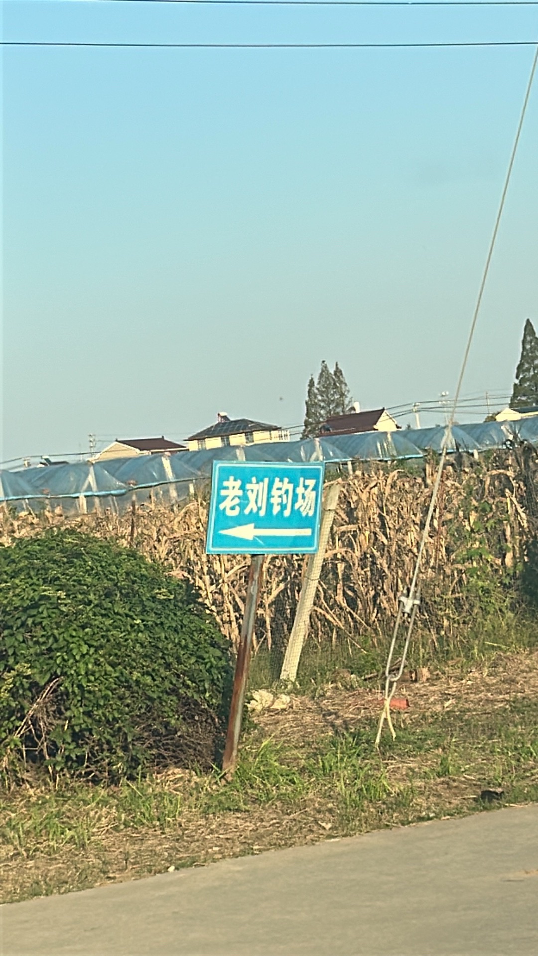 八卦洲老刘钓场钓场环境照片