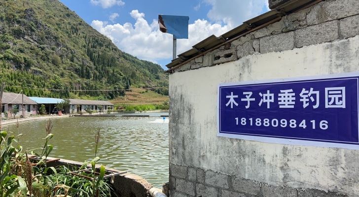 木子冲垂钓园钓场环境照片