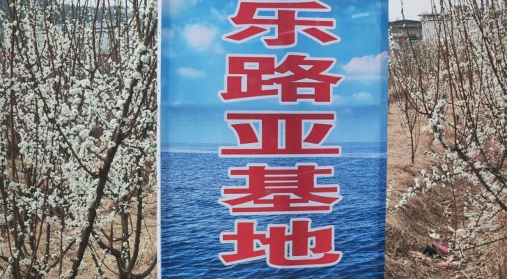 渔乐路亚基地钓场环境照片